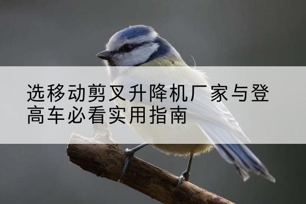 镇远电动升降机厂家-选移动剪叉升降机厂家与登高车必看实用指南