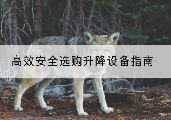 镇远升降货梯厂家推荐-*安全选购升降设备指南